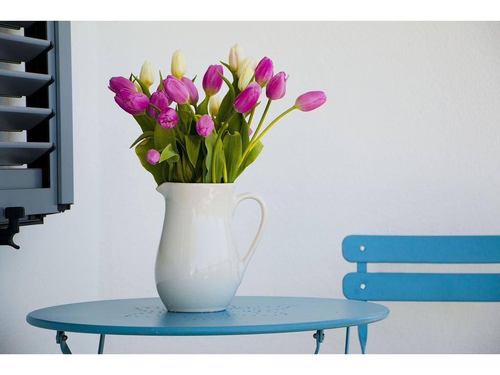 Apartman Sur La *